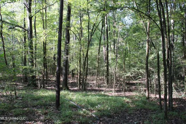 $125,235 | 524 Davis Crossing Road, Canton, MS 39046