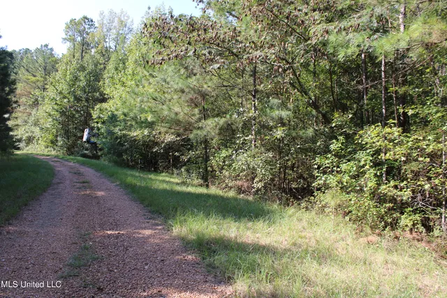 $125,235 | 524 Davis Crossing Road, Canton, MS 39046