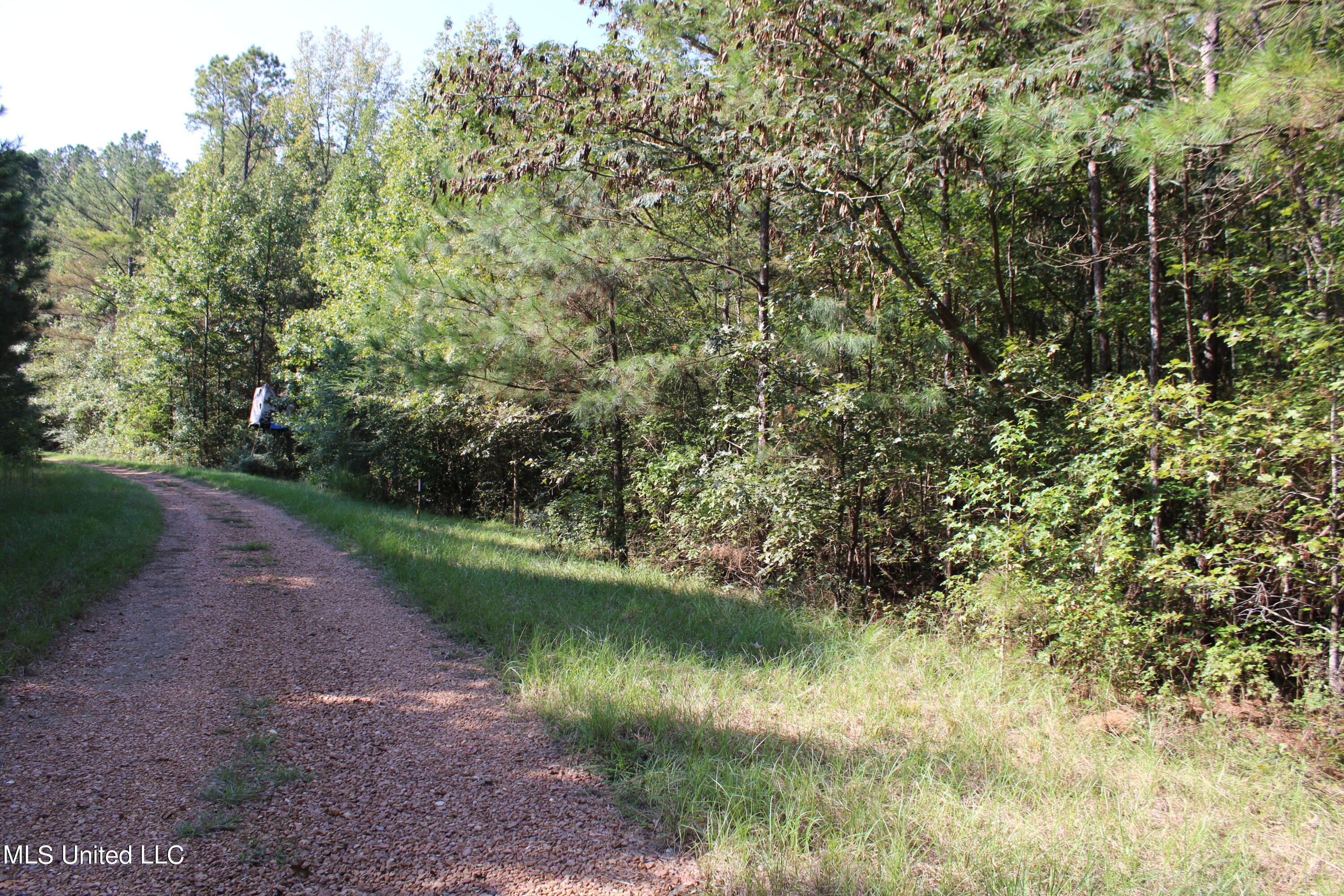 524 Davis Crossing Road Canton, MS 39046 - Photo 19 of 22 IMG_4976