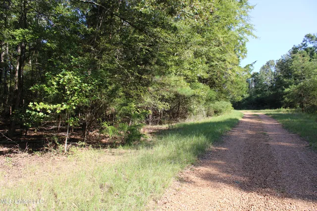 $125,235 | 524 Davis Crossing Road, Canton, MS 39046