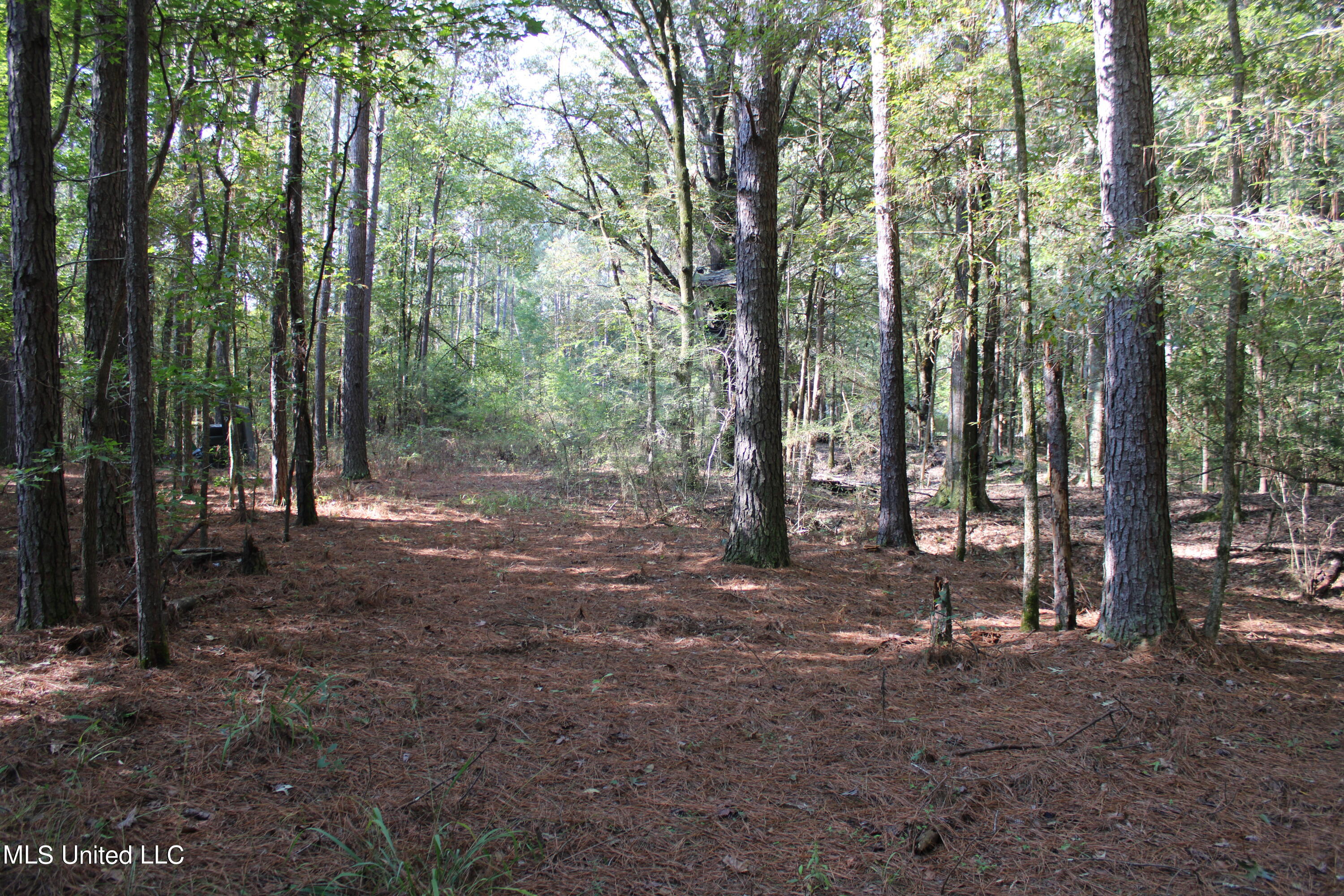 524 Davis Crossing Road Canton, MS 39046 - Photo 2 of 22 IMG_4968