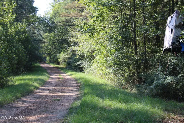 $125,235 | 524 Davis Crossing Road, Canton, MS 39046