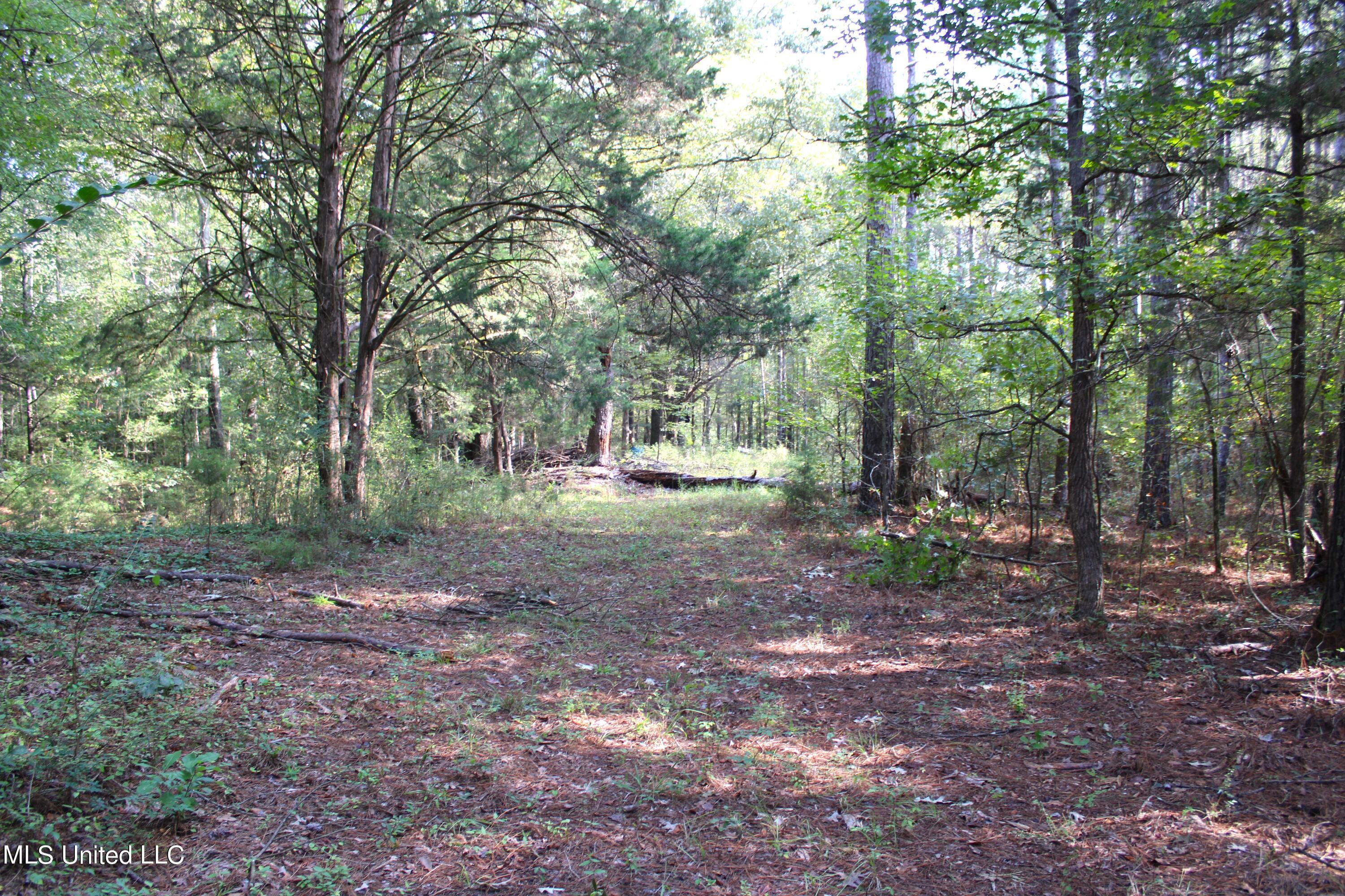 524 Davis Crossing Road Canton, MS 39046 - Photo 3 of 22 IMG_4963