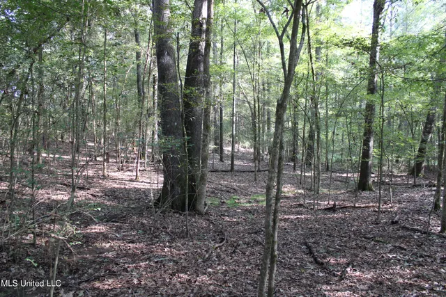 $125,235 | 524 Davis Crossing Road, Canton, MS 39046