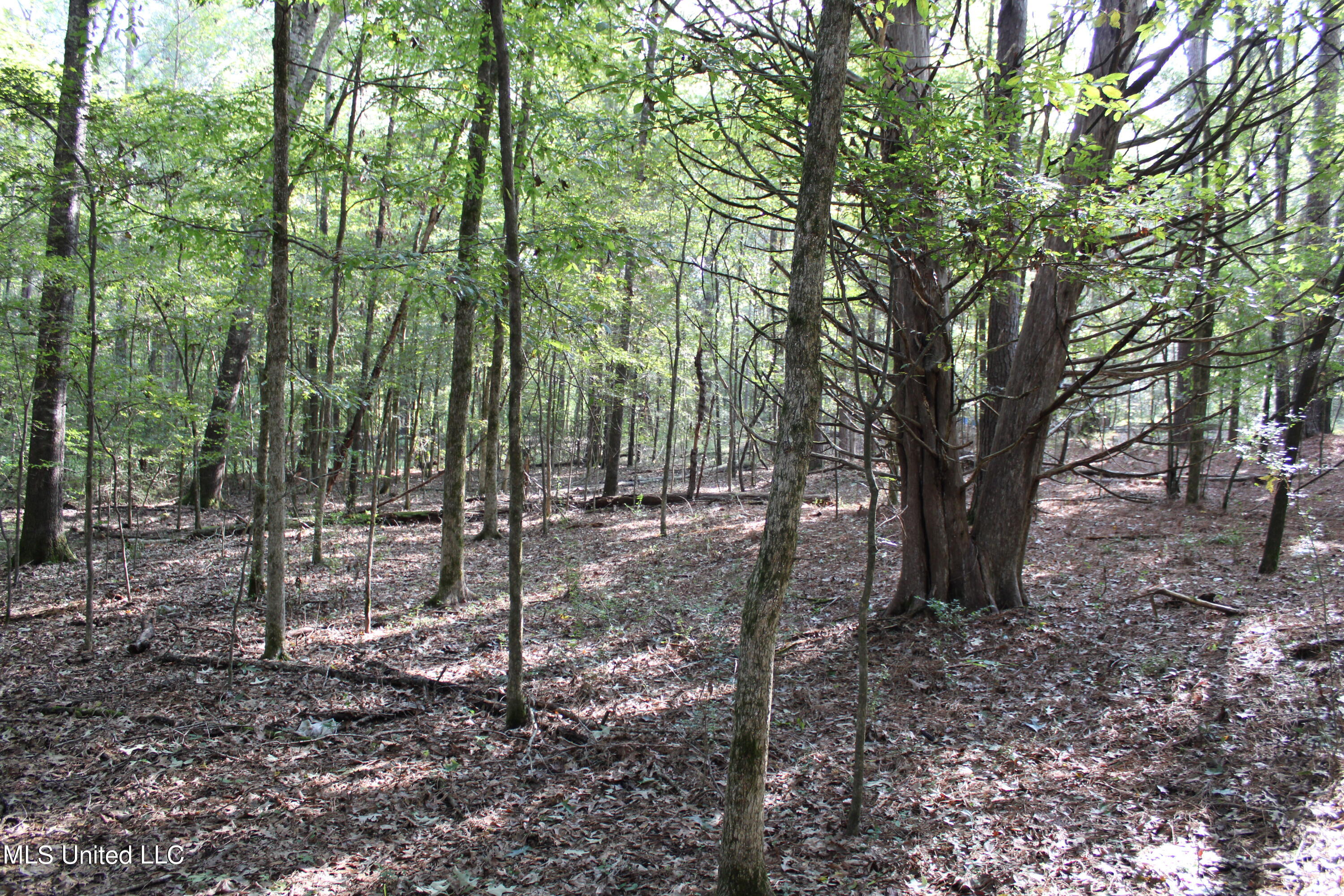 524 Davis Crossing Road Canton, MS 39046 - Photo 10 of 22 IMG_4965