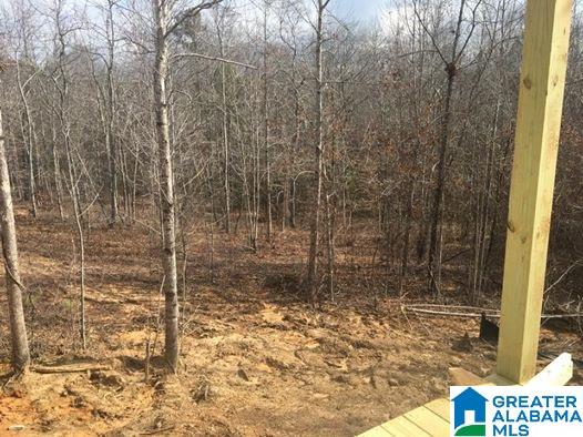 2550 Blake Way Warrior, AL 35180 - Photo 2 of 3