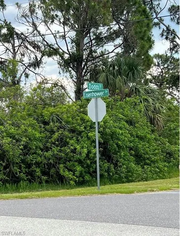 a close view of shoes