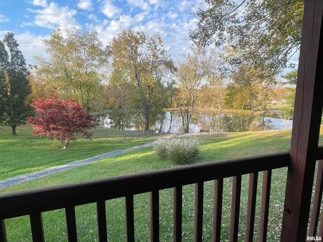 a view of a field with grass and trees