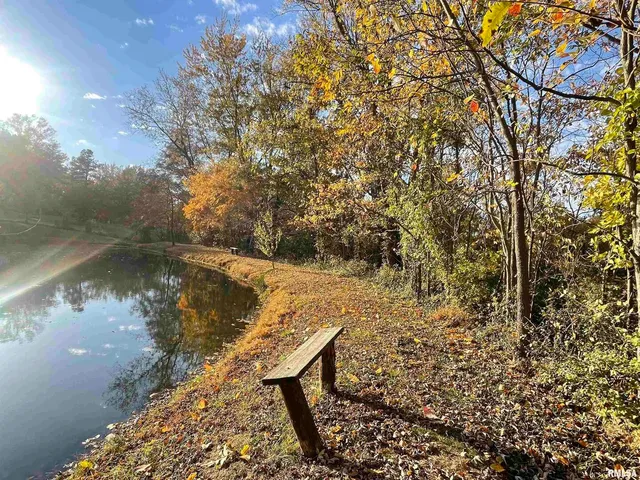 a view of a park with large trees
