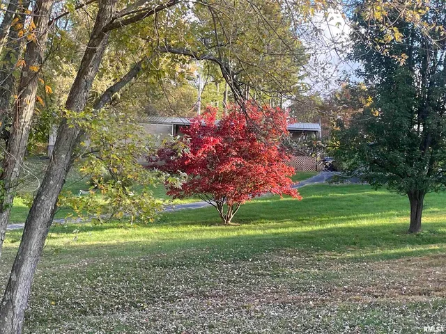 a view of outdoor space with trees