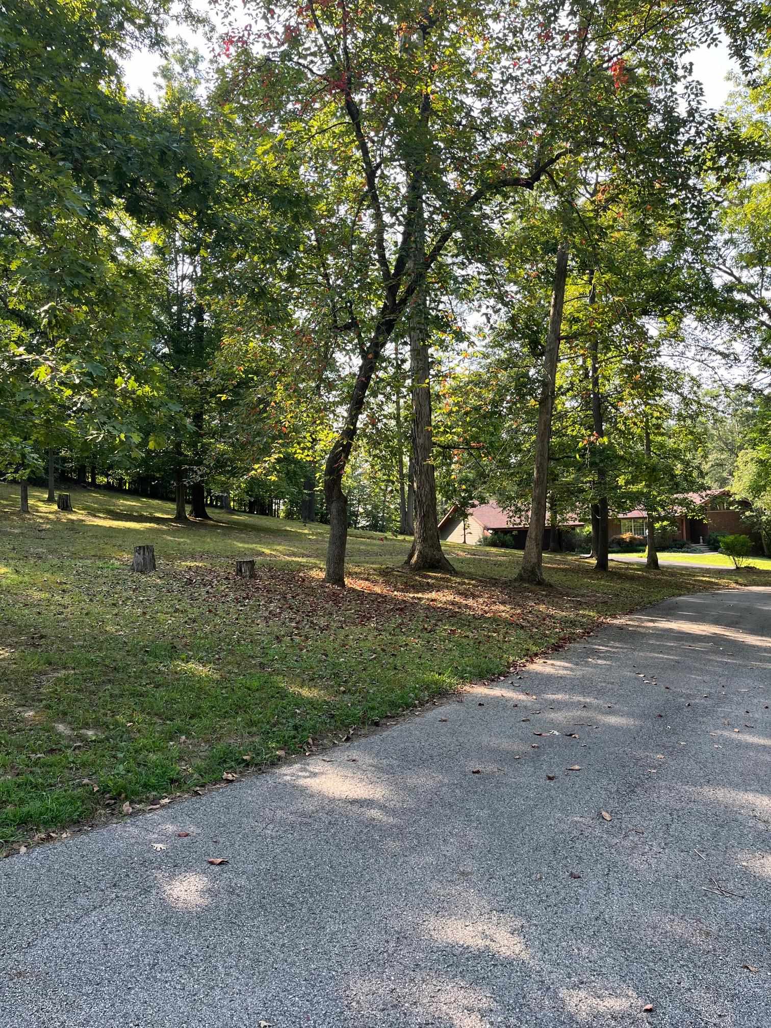 10 Crossbow Road Grayson, KY 41143 - Photo 4 of 17 Gallery Image 4