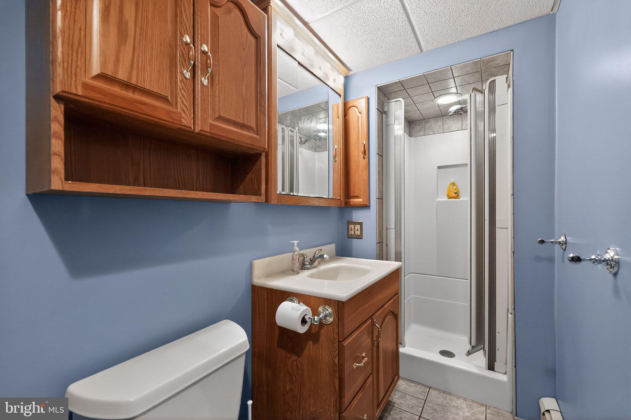 3206 Manor Road Huntingdon Valley, PA 19006 - Photo 19 of 37 a bathroom with a sink a toilet and shower