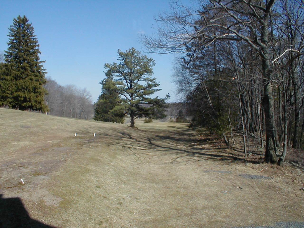 Wiscasset Road Mount Pocono, PA 18344 - Photo 13 of 13 a view of a yard with trees