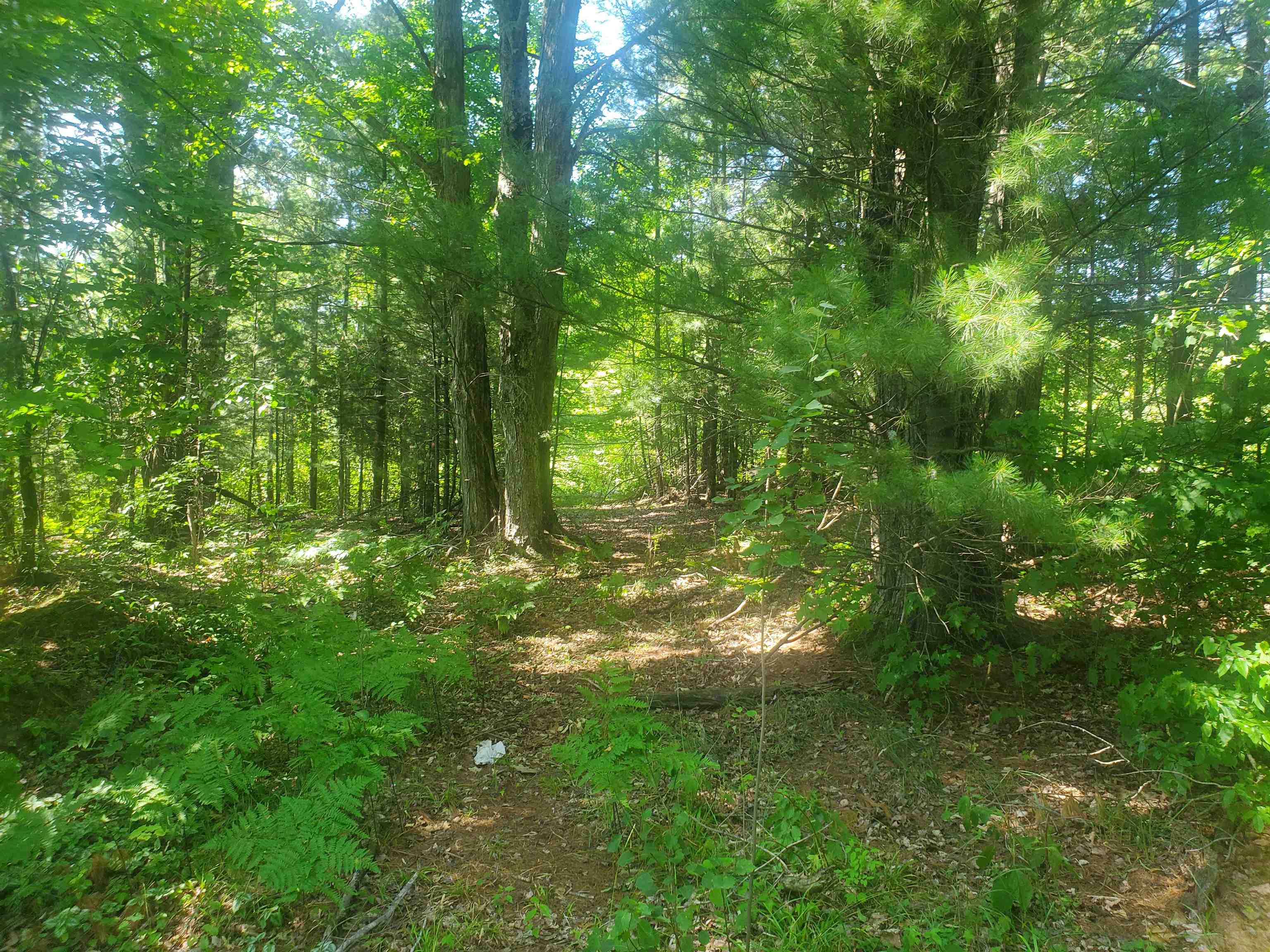 11921 Homestead Road Beulah, MI 49617 - Photo 35 of 57 1902757-34.JPG