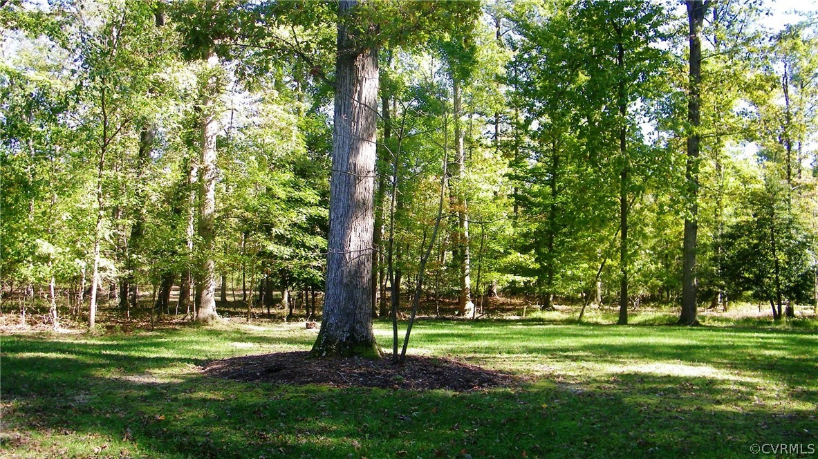 13401 Inge Road Chester, VA 23836 - Photo 4 of 24 a huge green field with lots of trees