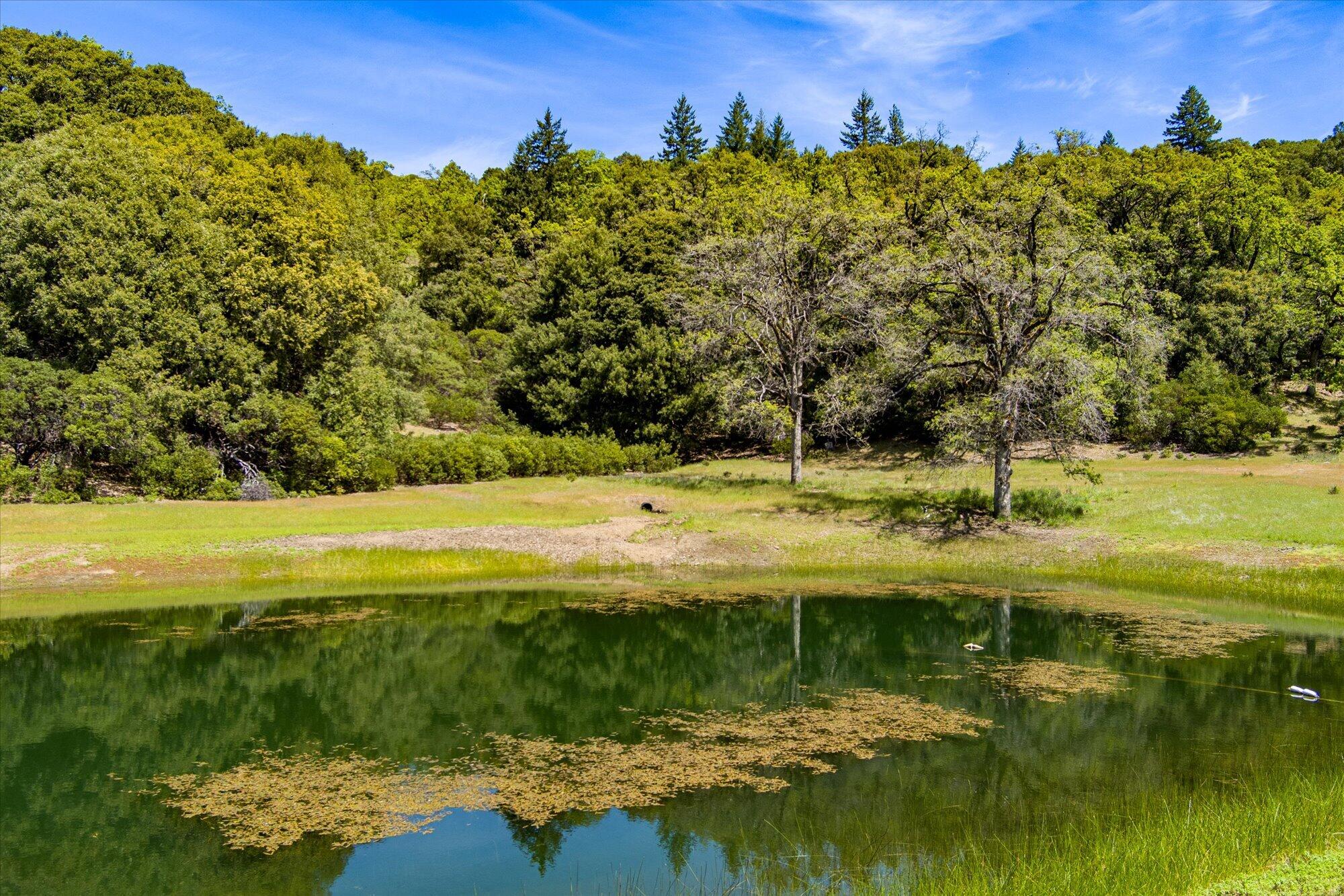 3450 Laytonville Dos Rios Road Laytonville, CA 95454 - Photo 82 of 98