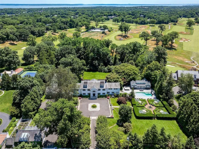 an aerial view of residential houses with outdoor space and trees