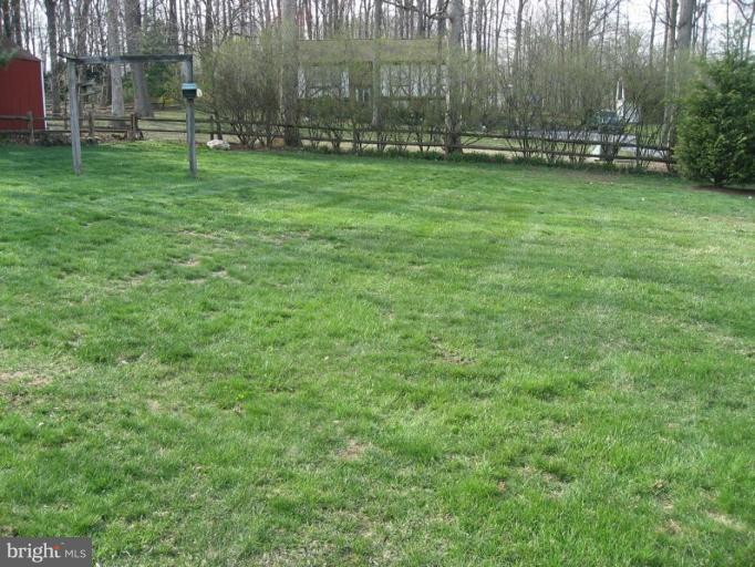 Back yard