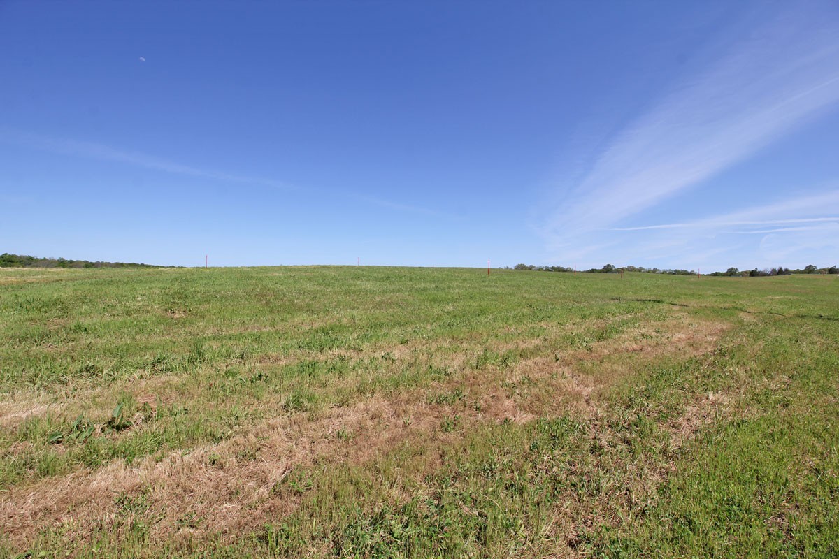 3 Calista Road Cross Plains, TN 37049 - Photo 2 of 4 Gallery Image 2