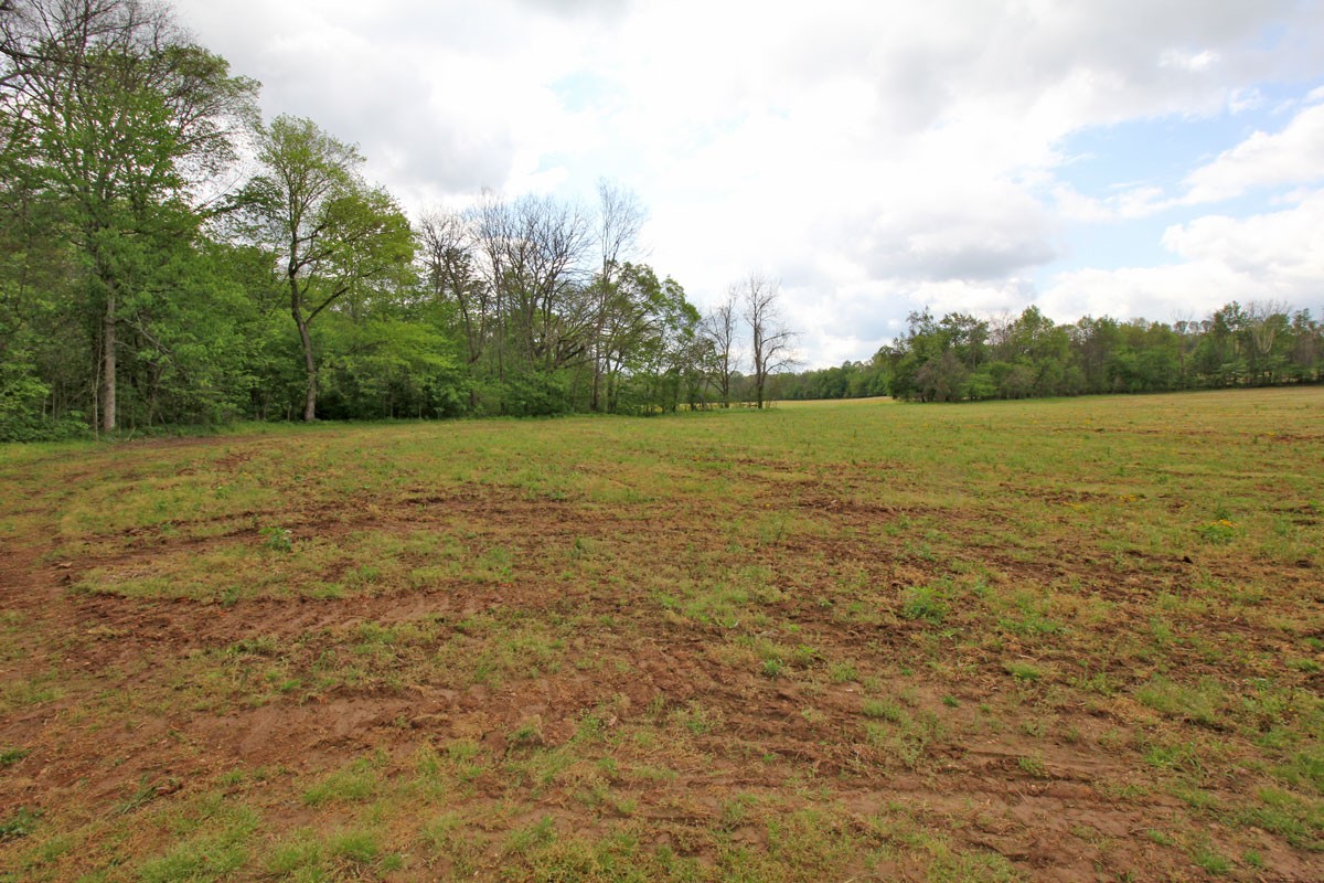 3 Calista Road Cross Plains, TN 37049 - Photo 3 of 4 Gallery Image 3