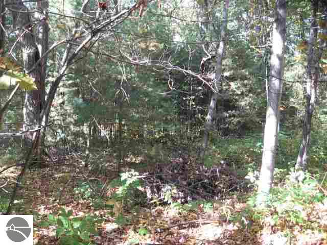 10606 Wildwood Road Interlochen, MI 49643 - Photo 23 of 25 1720999-22.JPG