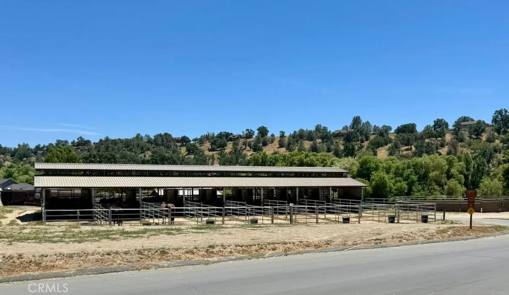 0 Butterfield Way Tehachapi, CA 93561 - Photo 13 of 20 a view of a big yard with plants and lake view