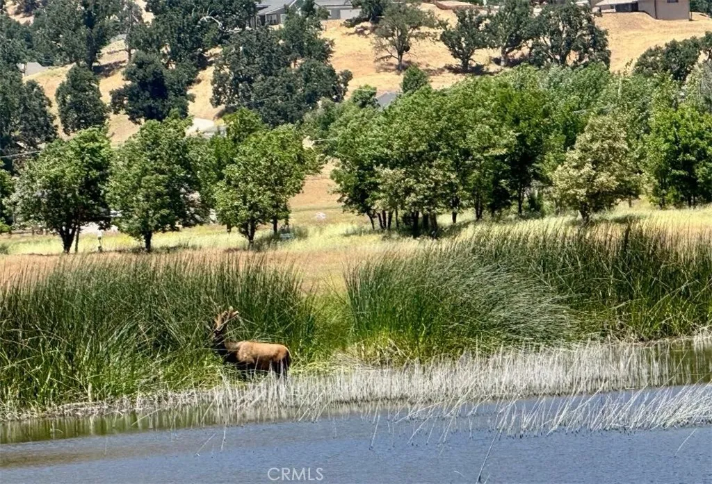 0 Butterfield Way Tehachapi, CA 93561 - Photo 15 of 20 a view of a lake from a yard