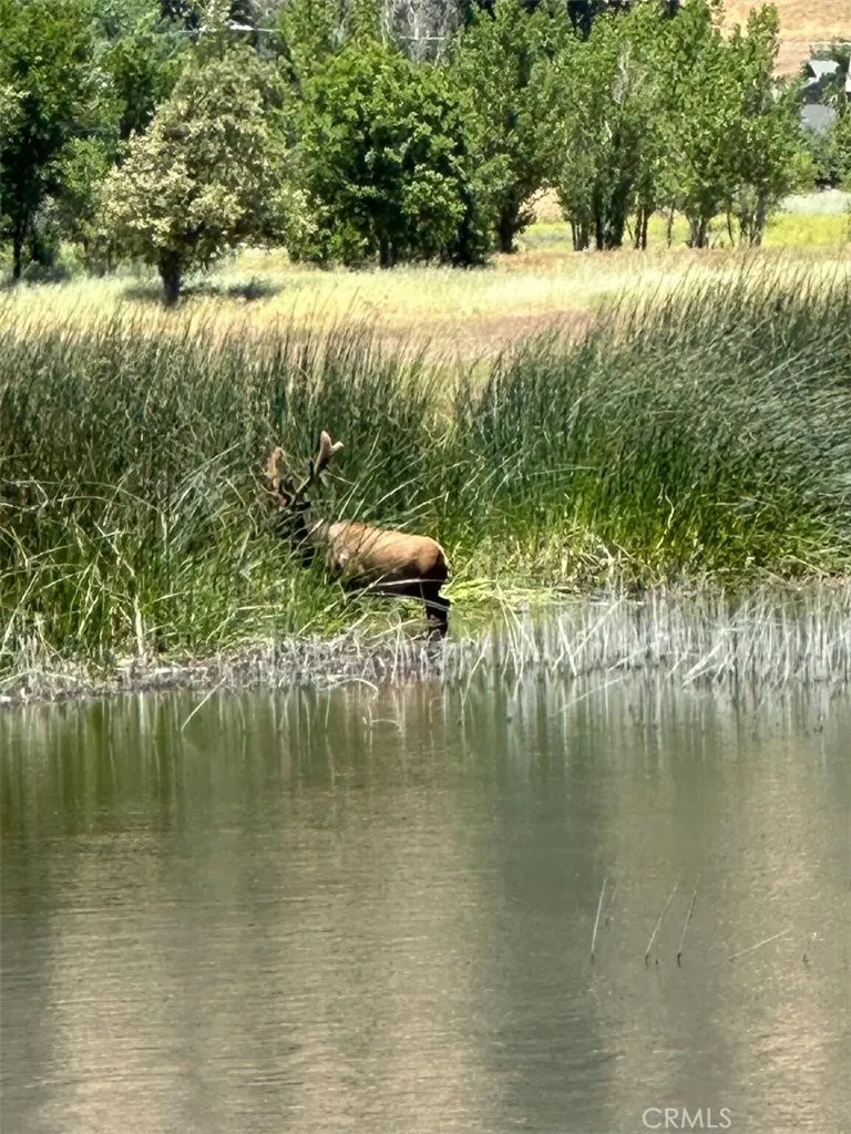 0 Butterfield Way Tehachapi, CA 93561 - Photo 16 of 20
