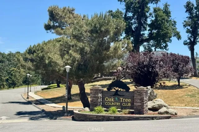 a view of a park with large trees