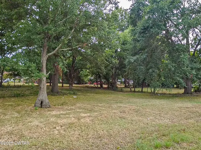 a view of a tree in a yard