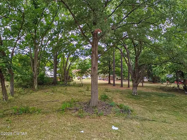 a view of a trees in a yard