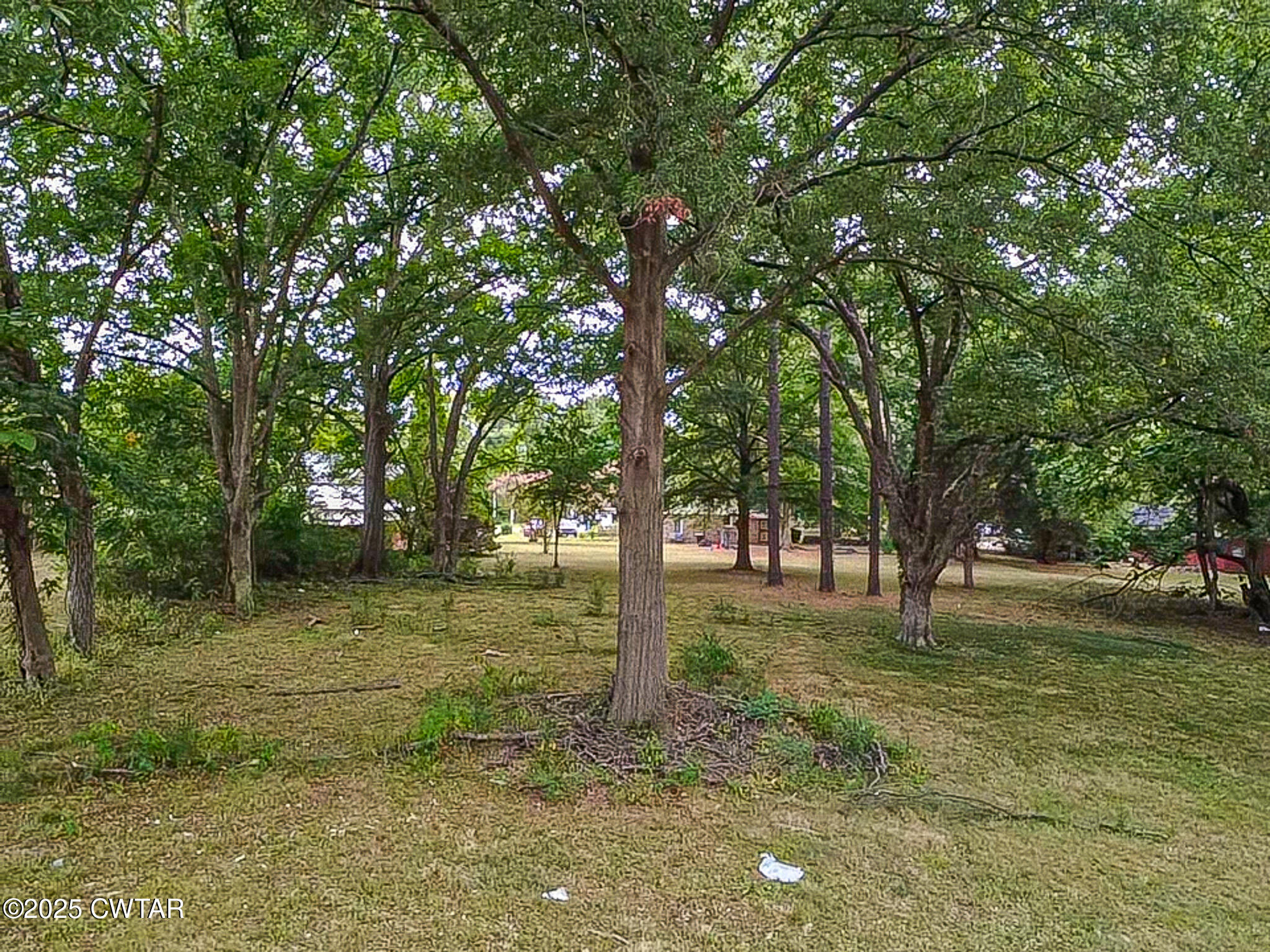 511 West Knox Street Rutherford, TN 38369 - Photo 4 of 7 a view of a trees in a yard