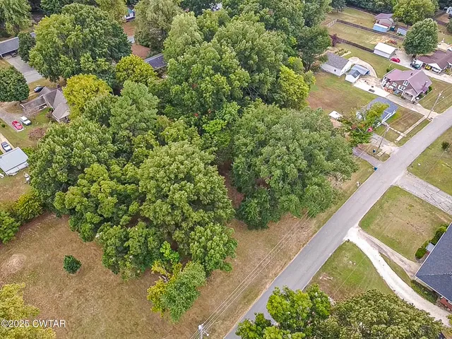 a view of a garden with a tree