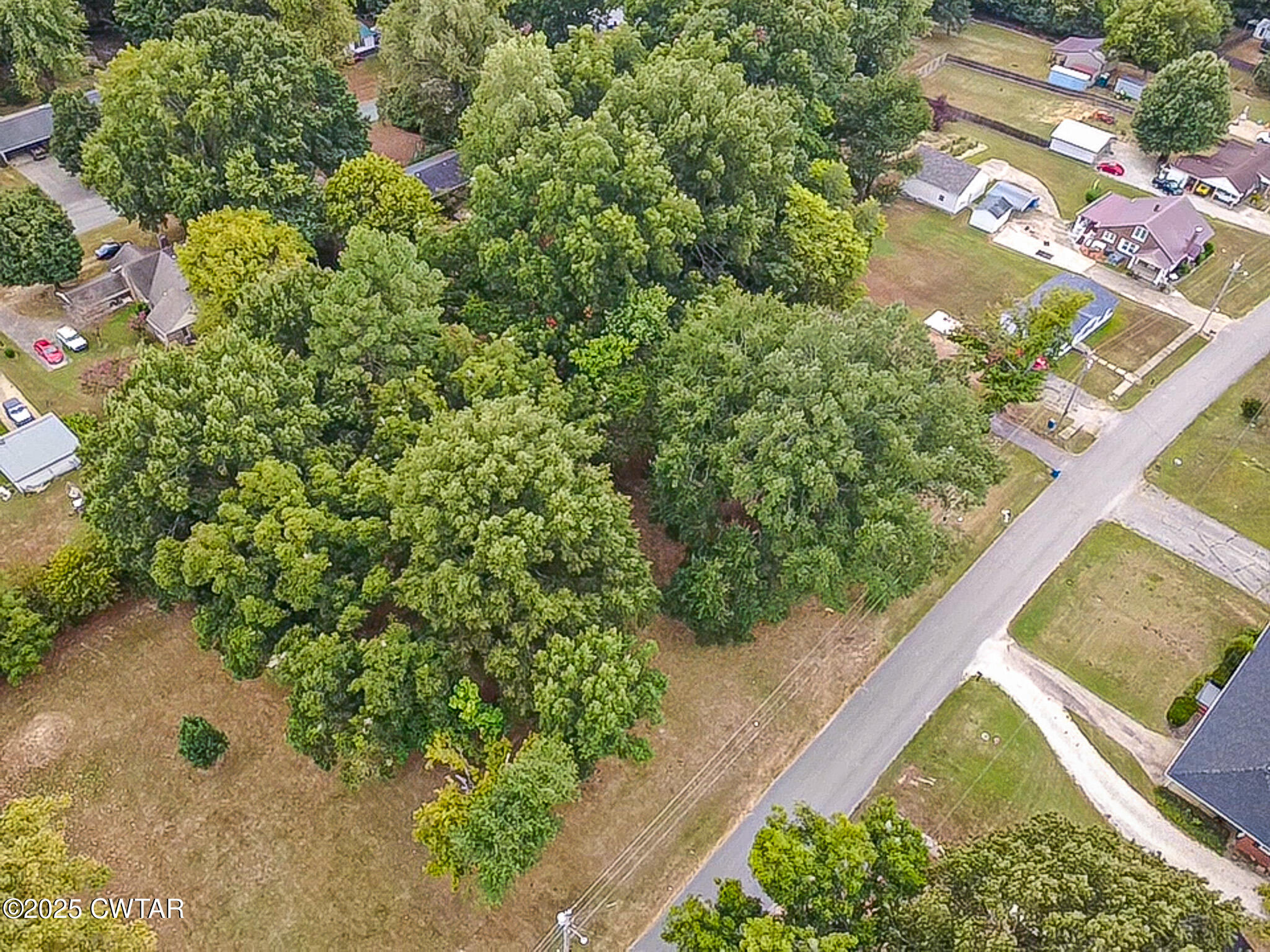 511 West Knox Street Rutherford, TN 38369 - Photo 7 of 7 a view of a garden with a tree