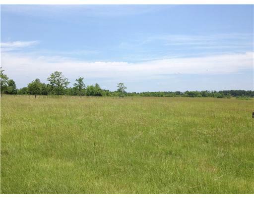 6153 305th Road Kiln, MS 39556 - Photo 1 of 1 Primary Photo