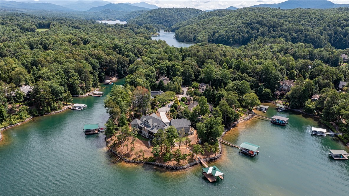 215 Passion Flower Way Sunset, SC 29685 - Photo 2 of 50