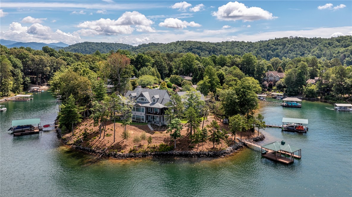 215 Passion Flower Way Sunset, SC 29685 - Photo 4 of 50