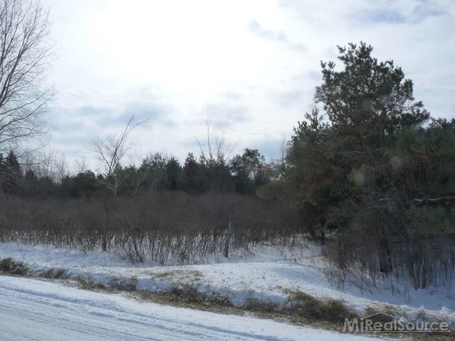 0 West Wellman Line Road Peck, MI 48466 - Photo 1 of 4