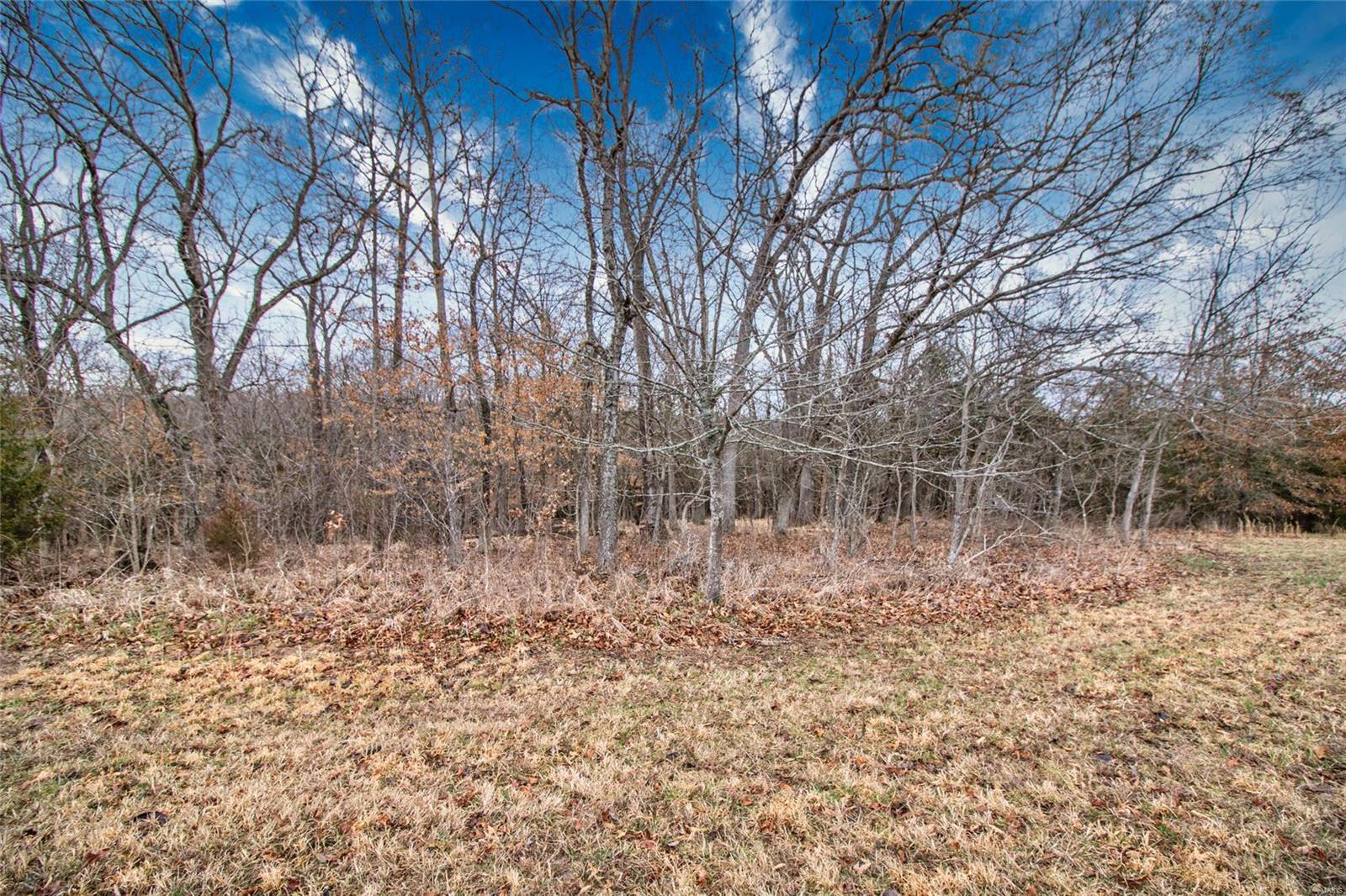 14068 Buff Road Festus, MO 63028 - Photo 51 of 93