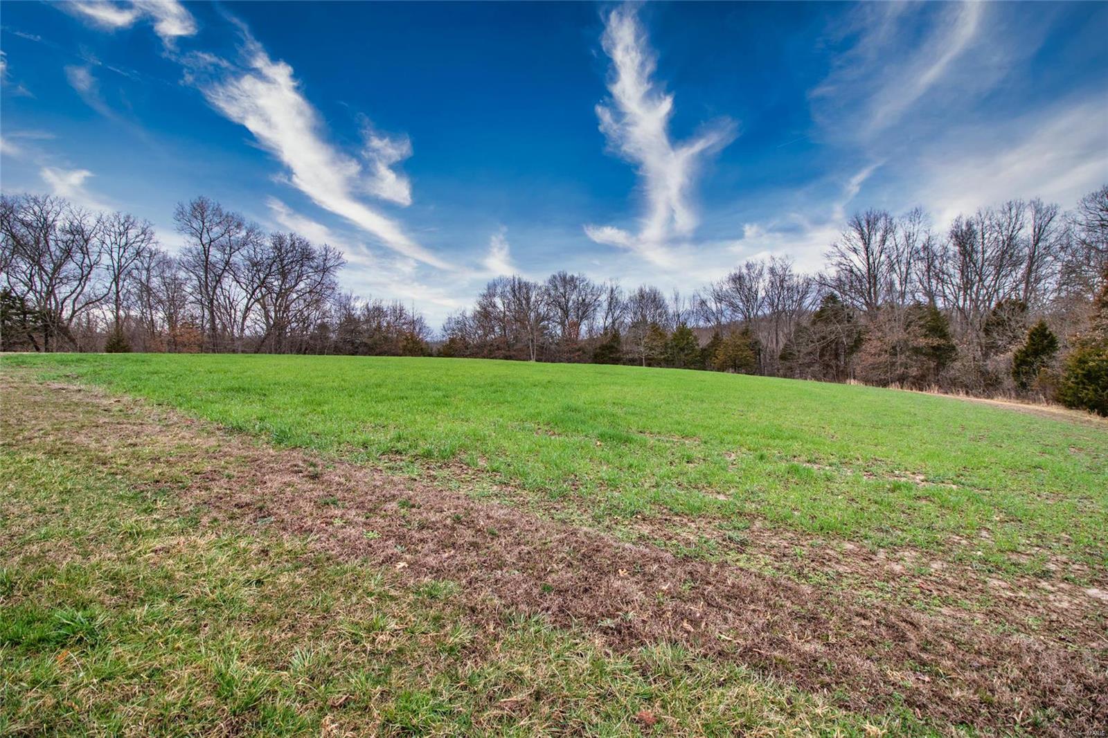 14068 Buff Road Festus, MO 63028 - Photo 54 of 93