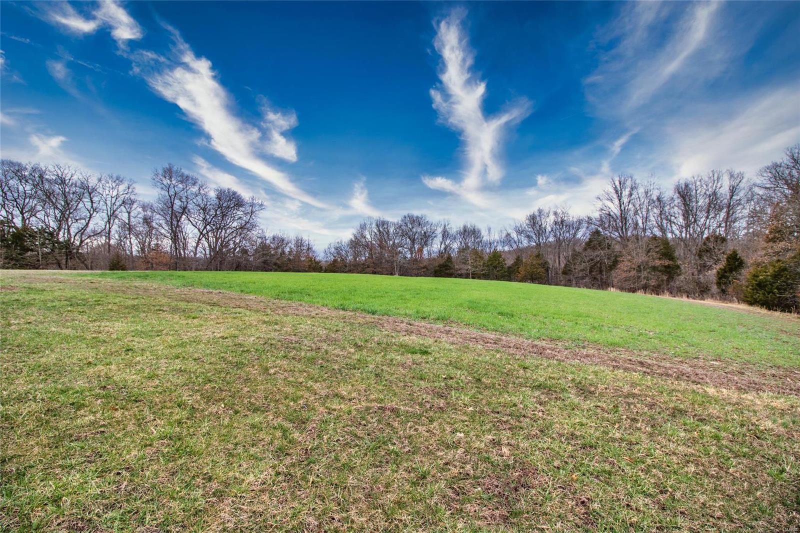 14068 Buff Road Festus, MO 63028 - Photo 55 of 93