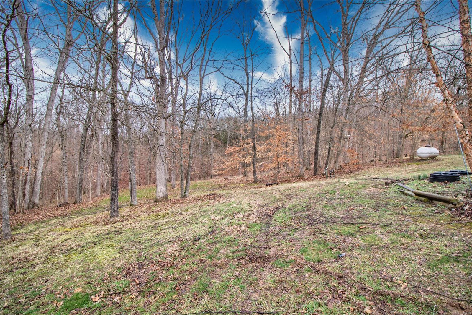 14068 Buff Road Festus, MO 63028 - Photo 64 of 93