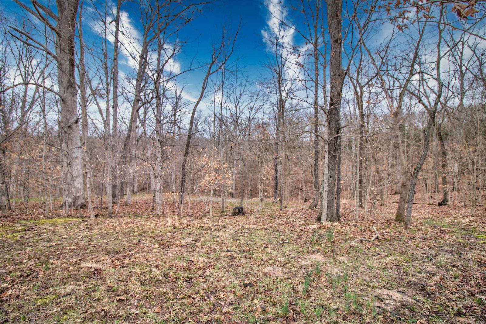 14068 Buff Road Festus, MO 63028 - Photo 70 of 93