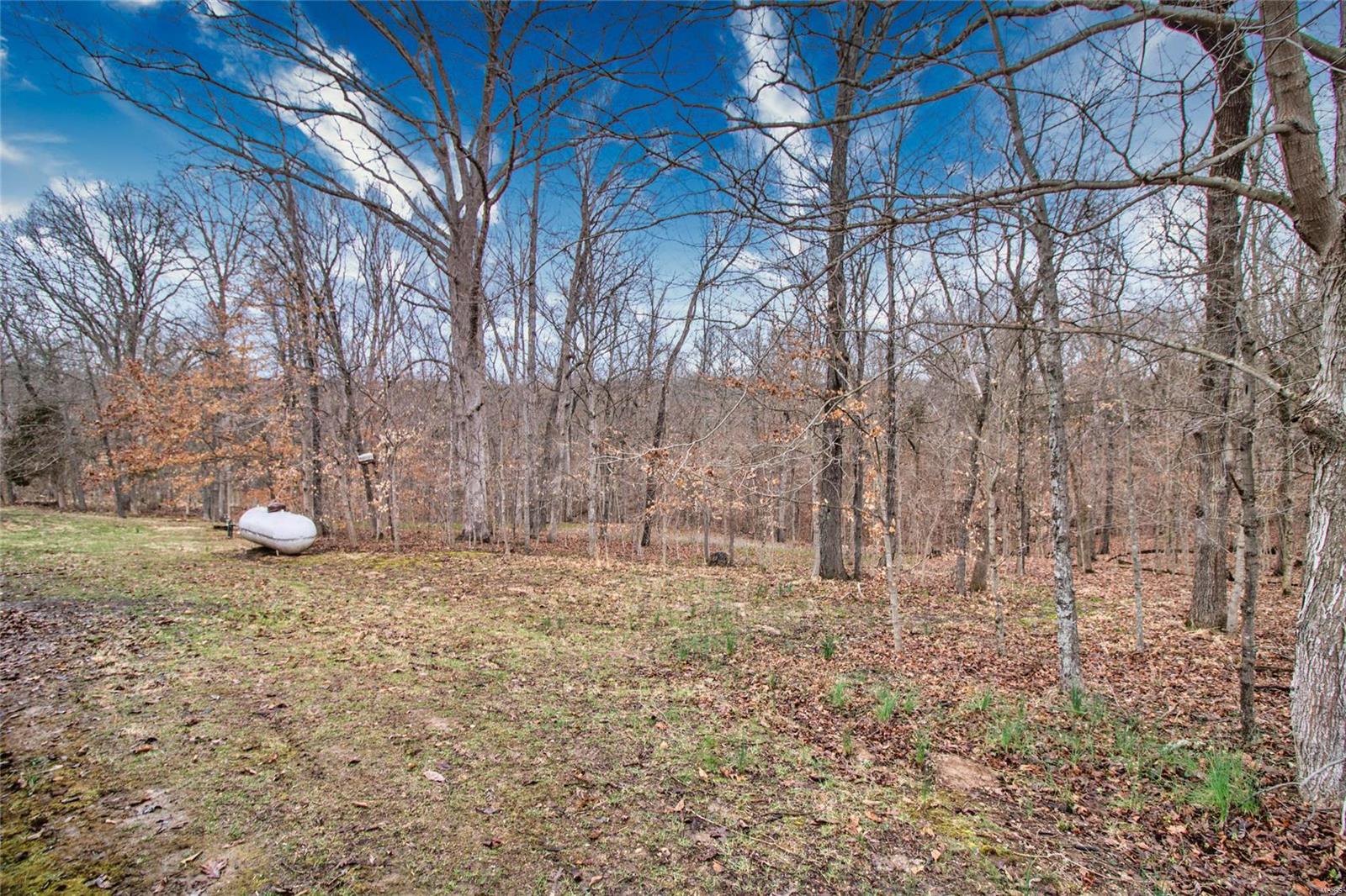 14068 Buff Road Festus, MO 63028 - Photo 71 of 93