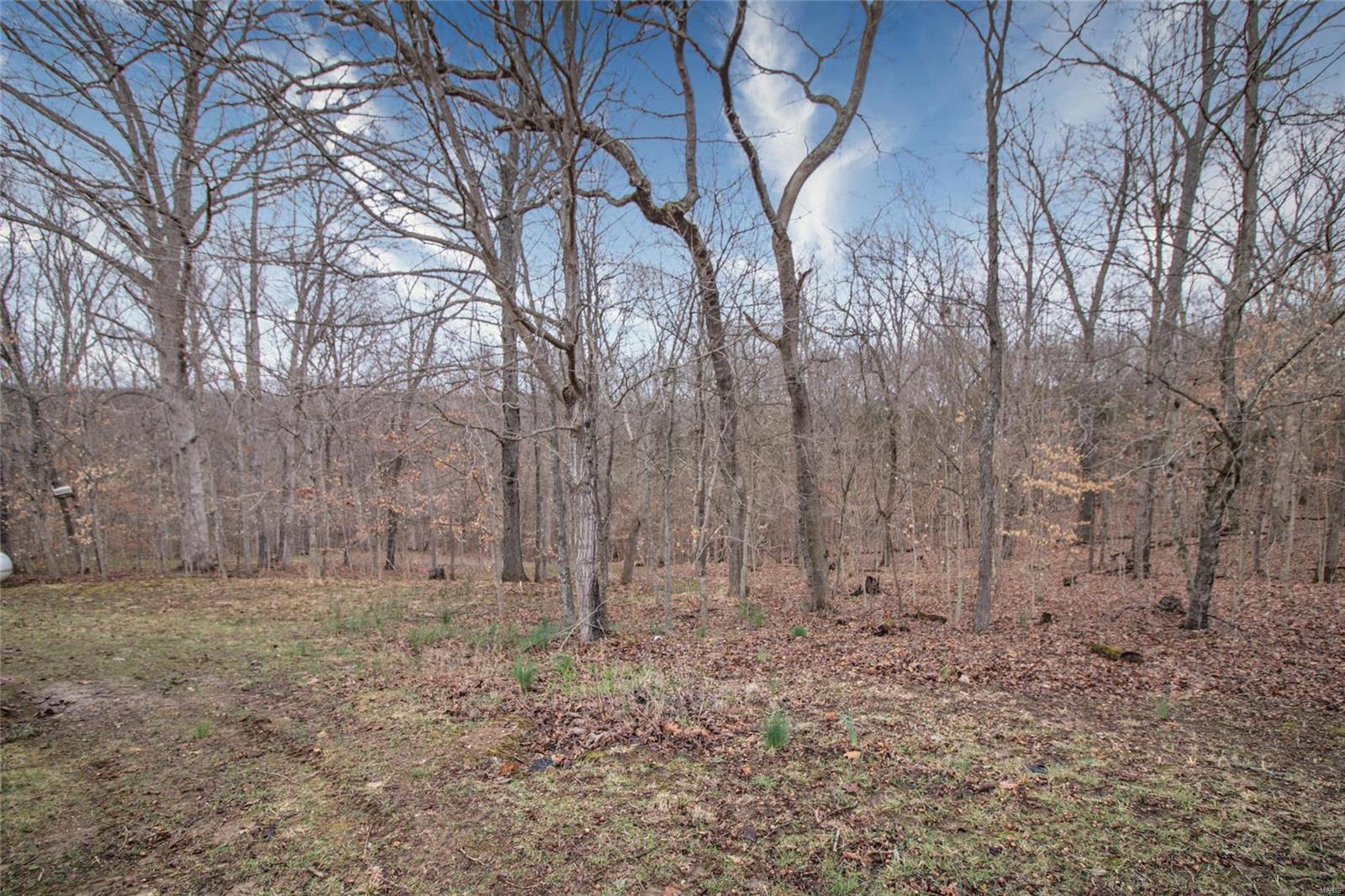 14068 Buff Road Festus, MO 63028 - Photo 72 of 93