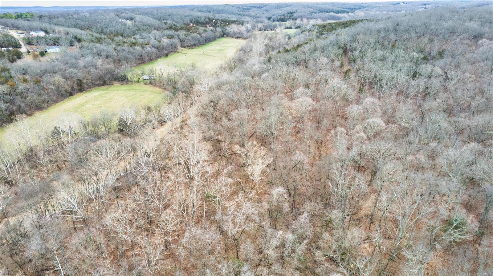 14068 Buff Road Festus, MO 63028 - Photo 90 of 93