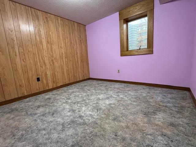 1605 Mountain Lake Road Mountain Lake, MN 56159 - Photo 26 of 36