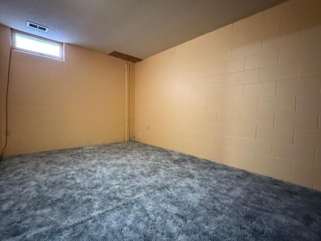 1605 Mountain Lake Road Mountain Lake, MN 56159 - Photo 30 of 36