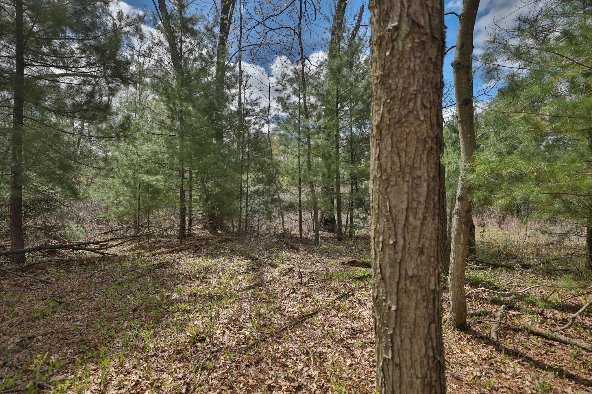 Lot 4 Grayling Tomah, WI 54660 - Photo 25 of 50