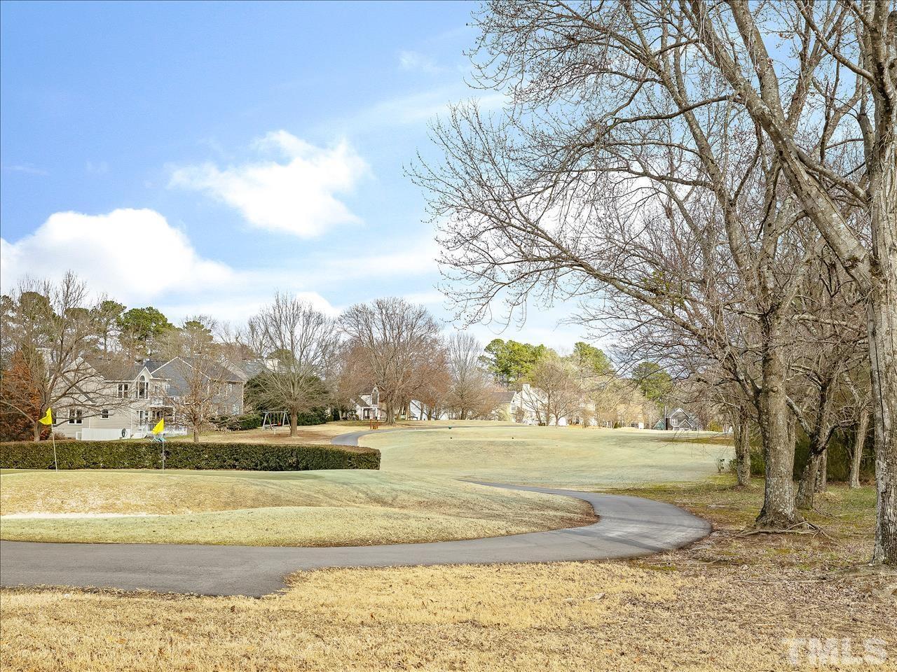 4408 Emmit Drive Raleigh, NC 27604 - Photo 27 of 38 a view of a yard with large trees